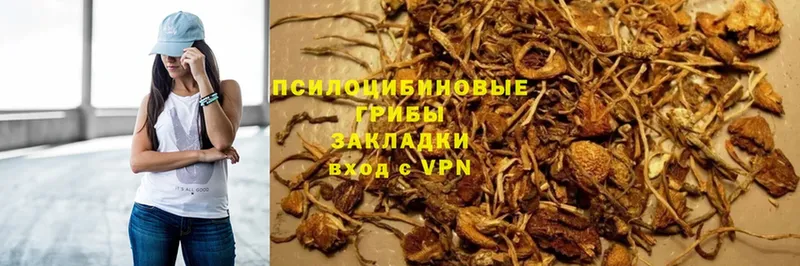 Галлюциногенные грибы GOLDEN TEACHER  Костомукша 